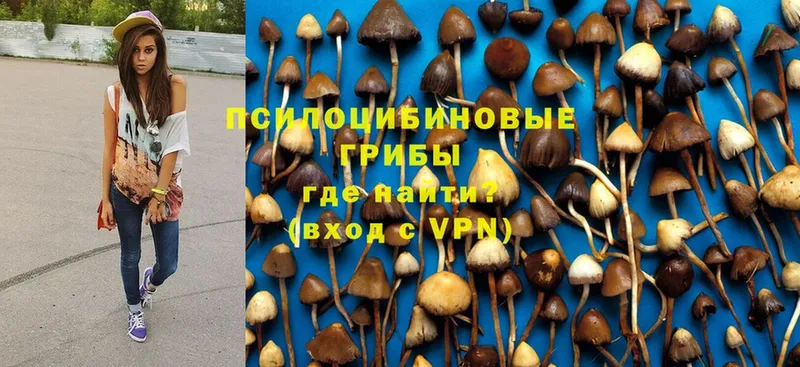 kraken вход  Белорецк  Галлюциногенные грибы Magic Shrooms 